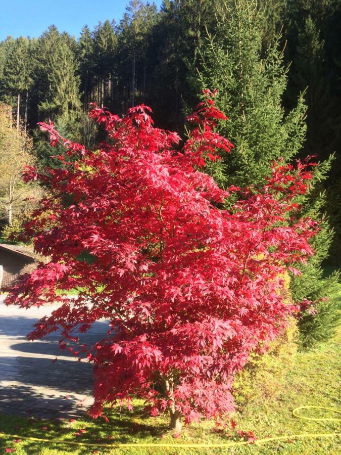 Gasthof Waldrast Zell am Ziller Exterior foto